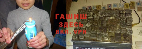 индика Арсеньев