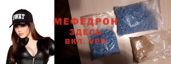 индика Арсеньев