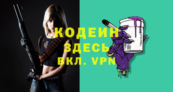 индика Арсеньев
