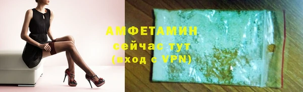 индика Арсеньев
