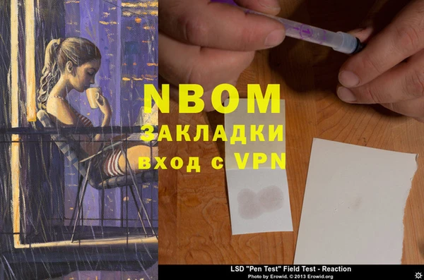 индика Арсеньев