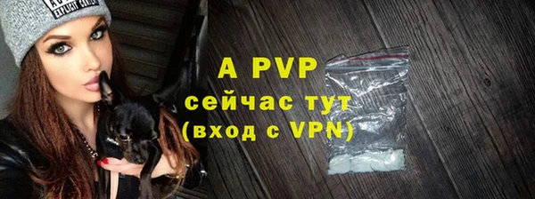 индика Арсеньев