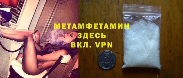 индика Арсеньев