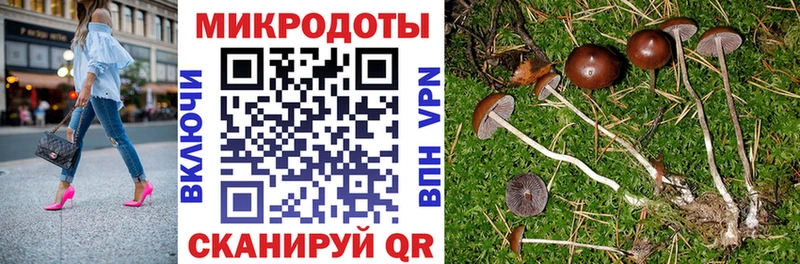 Галлюциногенные грибы мицелий  магазин продажи наркотиков  Колпашево 